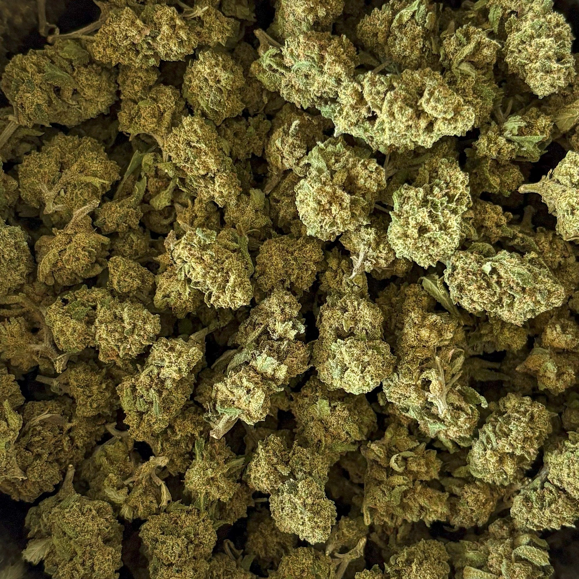 Cannatonic Popcorn Buds