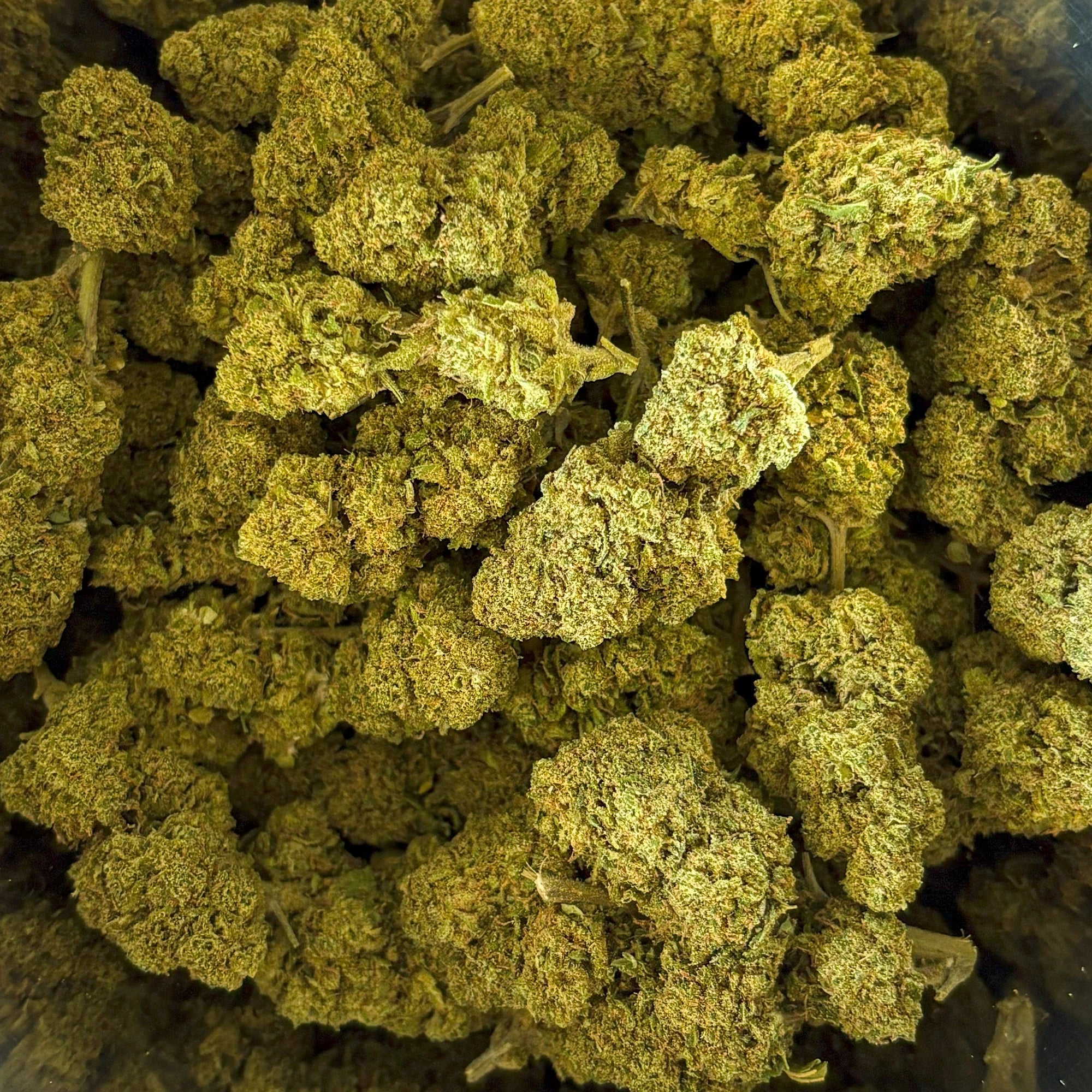 Girl Scout Cookies