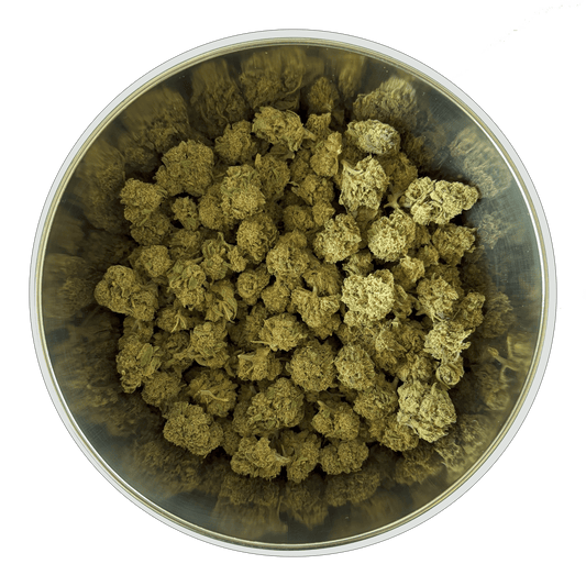 Candy Kush Small Buds