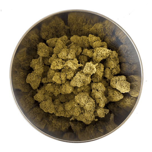Orange Bud