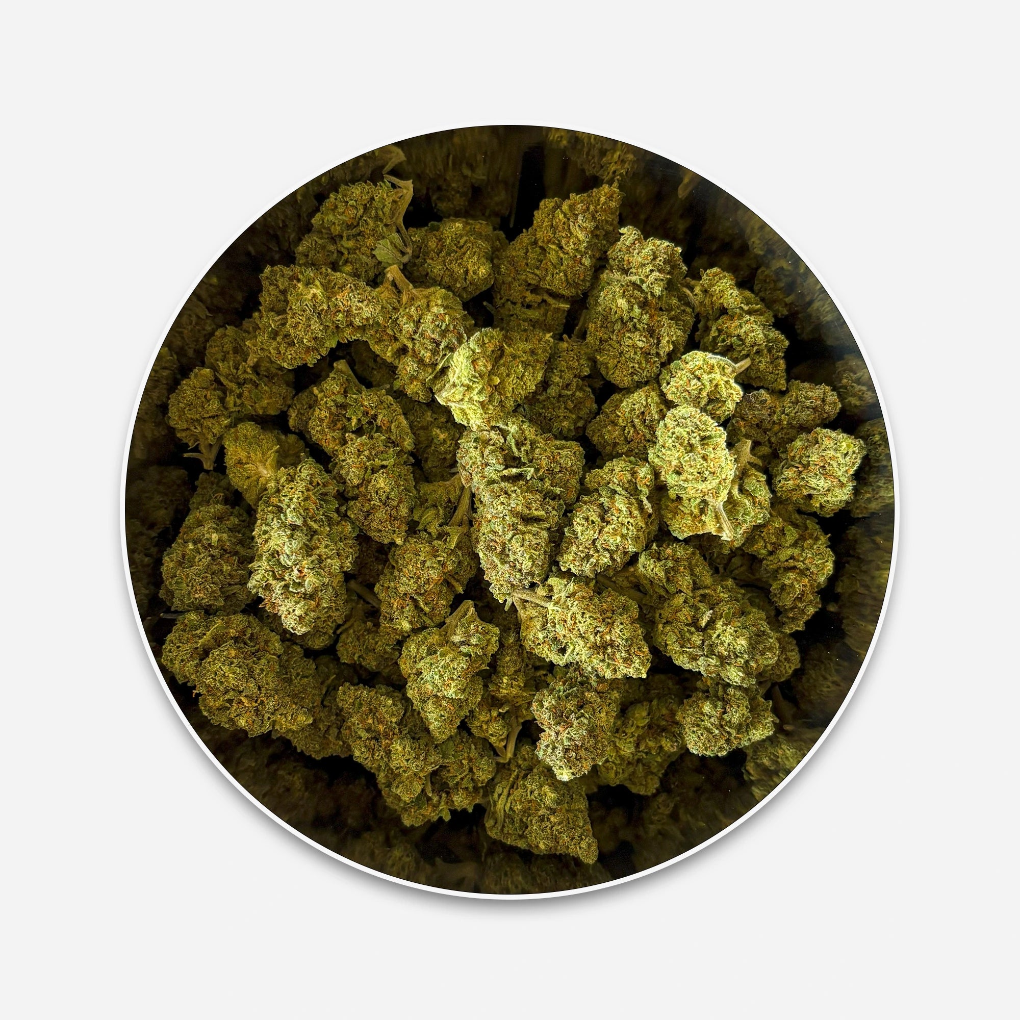 Orange Bud