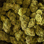 Orange Bud