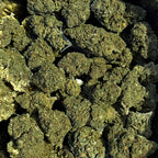 Santa Kush : Édition Limité