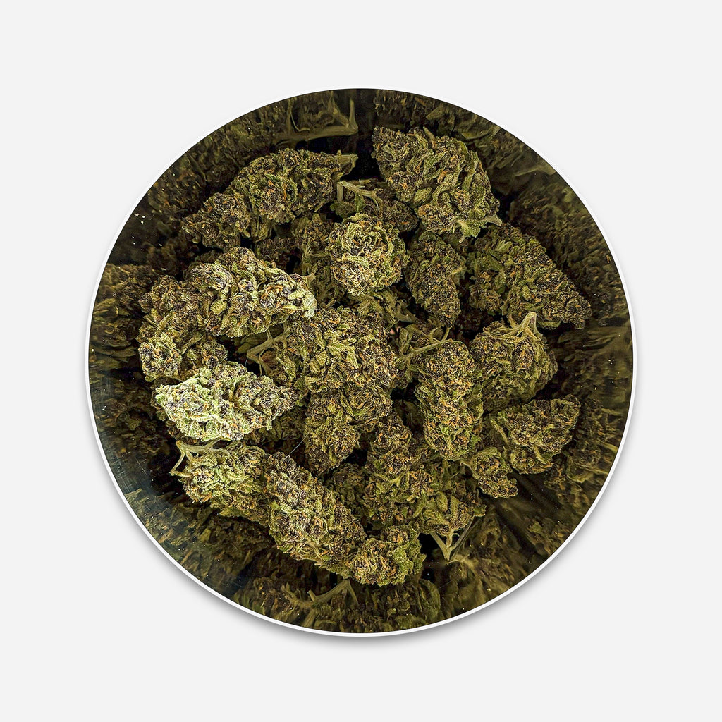 Violet Kush CBD