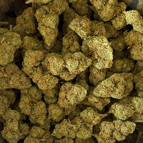 Watermelon OG